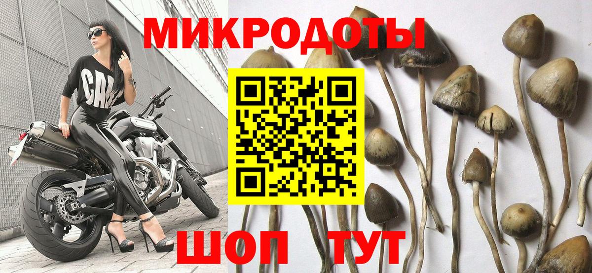 Галлюциногенные грибы мицелий Красноярск