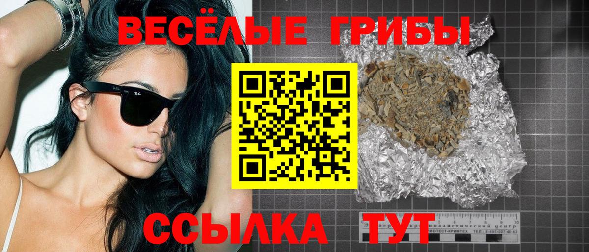 Псилоцибиновые грибы мухоморы  купить  сайты  Красноярск  Вход с VPN  Псилоцибиновые грибы мухоморы 